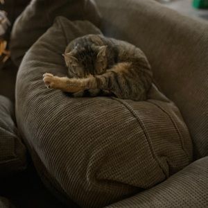 Meet your Posher, Clare